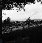 Ploughing, Pexton Moor